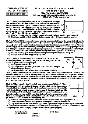 Đề thi tuyển sinh Lớp 10 THPT chuyên môn Vật lý - Năm học 2012-2013 - Sở giáo dục và đào tạo Ninh Bình (Có đáp án)
